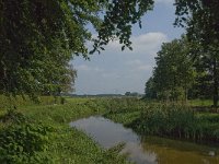 NL, Noord-Brabant, Oisterwijk, Reusel 14, Saxifraga-Jan van der Straaten