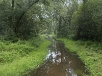 NL, Noord-Brabant, Oisterwijk, Rosep 2, Saxifraga-Willem van Kruijsbergen