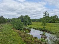 Restored landscape around Dutch river Ruiten Aa; Sellingen, Groningen, Netherlands  Restored landscape around Dutch river Ruiten Aa; Sellingen, Groningen, Netherlands : nature restoration, landscape restoration, restored, river, brook, ruiten aa, water, stream, tree, trees, wetland, countryside, rural, landscape, rural landscape, rural scene, non-urban landscape, non-urban scene, outside, outdoor, outdoors, no people, nobody, summer, summertime, spring, springtime, nature protection, protected area, nature, natural, sellingen, westerwolde, groningen, netherlands, holland, dutch, europe, european, grass, grassland, meadow, pasture, sky, clouded sky, clouds
