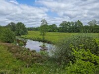 Restored landscape around Dutch river Ruiten Aa; Sellingen, Groningen, Netherlands  Restored landscape around Dutch river Ruiten Aa; Sellingen, Groningen, Netherlands : nature restoration, landscape restoration, restored, river, brook, ruiten aa, water, stream, tree, trees, wetland, countryside, rural, landscape, rural landscape, rural scene, non-urban landscape, non-urban scene, outside, outdoor, outdoors, no people, nobody, summer, summertime, spring, springtime, nature protection, protected area, nature, natural, sellingen, westerwolde, groningen, netherlands, holland, dutch, europe, european, grass, grassland, meadow, pasture, sky, clouded sky, clouds