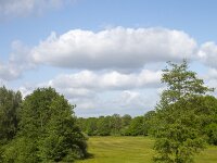 Restored landscape around Dutch river Ruiten Aa; Sellingen, Groningen, Netherlands  Restored landscape around Dutch river Ruiten Aa; Sellingen, Groningen, Netherlands : nature restoration, landscape restoration, restored, river, brook, ruiten aa, water, stream, tree, trees, wetland, countryside, rural, landscape, rural landscape, rural scene, non-urban landscape, non-urban scene, outside, outdoor, outdoors, no people, nobody, summer, summertime, spring, springtime, nature protection, protected area, nature, natural, sellingen, westerwolde, groningen, netherlands, holland, dutch, europe, european, grass, grassland, meadow, pasture, sky, clouded sky, clouds
