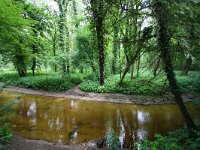 NL, Gelderland, Winterswijk, Boven Slinge 3, Saxifraga-Bart Vastenhouw