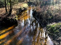 NL, Gelderland, Ermelo, Staverdense beek 5, Saxifraga-Bart Vastenhouw