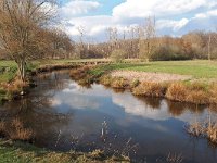 NL, Noord-Brabant, Valkenswaard, Tongelreep in Patersgronden 10, Saxifraga-Tom Heijnen