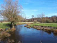 NL, Noord-Brabant, Valkenswaard, Tongelreep in Patersgronden 9, Saxifraga-Tom Heijnen