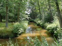 NL, Noord-Brabant, Waalre, Tongelreep near Achtereind 2, Saxifraga-Tom Heijnen