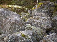 Keien met kostmossen  Boulders covered with lichens, on the bank of Lake Vanern, Säffle, Dalsland, Sweden : boulder, color, colour, Europe European, horizontal, lichen, nature natural, rock rocky, rural, Scandinavia Scandinavian, summer, Sweden Swedish