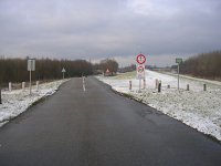 NL, Flevoland, Almere, Oostvaardersplassen 10, Saxifraga-Henk Sierdsema