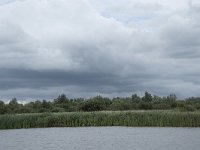 NL, Friesland, Noardeast-Fryslan, Lauwersmeer 38, Saxifraga-Willem van Kruijsbergen