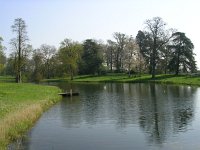 NL, Gelderland, Rheden, Hof te Rheden 3, Saxifraga-Henk Sierdsema