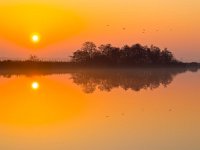 Sunset is reflecting  Sunset is reflecting in mirror like lake : Noordenveld, atmosphere, autumn, calm, creative nature, dageraad, dawn, dusk, dutch, geel, hemel, herfst, holland, kalm, lake, lakeside, landscape, landschap, leekstermeer, lente, licht, light, meer, mist, natura 2000, natural, nature, natuur, natuurlijke, nederland, nederlands, nevel, nevelig, orange, oranje, peace, quiet, reflect, reflecteren, reflectie, reflection, rudmer zwerver, rust, schemering, sereen, serene, sfeer, silhouette, sky, spectaculair, spectacular, spring, summer, sun, sunbeam, sunlight, sunray, sunrise, sunset, sunshine, tranquil, twilight, vogels, vredig, water, yellow, zomer, zon, zonlicht, zonneschijn, zonnestraal, zonsondergang, zonsopgang