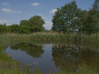 NL, Noord-Brabant, Baarle-Nassau, De Broskens 22, Saxifraga-Jan van der Straaten