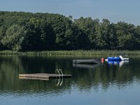 NL, Noord-Brabant, Boxtel, Langspier 4, Saxifraga-Jan van der Straaten