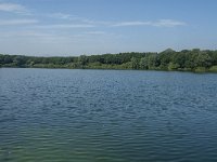 NL, Noord-Brabant, Geertruidenberg, NION Plas 3, Saxifraga-Marijke Verhagen