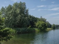 NL, Noord-Brabant, Geertruidenberg, NION Plas 6, Saxifraga-Marijke Verhagen