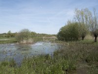 NL, Noord-Brabant, Goirle, Landgoed De Hoevens 19, Saxifraga-Willem van Kruijsbergen