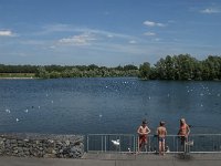 NL, Noord-Brabant, Goirle, Put van Heel 6, Saxifraga-Jan van der Straaten