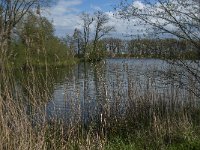 NL, Noord-Brabant, Heusden, Haarsteegs Wiel 16, Saxifraga-Jan van der Straaten