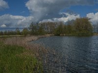 NL, Noord-Brabant, Heusden, Haarsteegs Wiel 8, Saxifraga-Jan van der Straaten