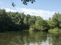 NL, Noord-Brabant, Heusden, Roeivijver Drunen 6, Saxifraga-Jan van der Straaten