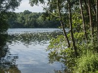 NL, Noord-Brabant, Heusden, Roeivijver Drunen 9, Saxifraga-Jan van der Straaten