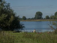 NL, Noord-Brabant, Lith, Lithse Ham 11, Saxifraga-Jan van der Straaten