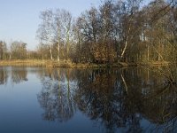 NL, Noord-Brabant, Veldhoven, De Hogt, Kempense Plassen 12, Saxifraga-Jan van der Straaten