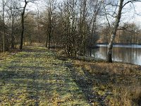 NL, Noord-Brabant, Veldhoven, De Hogt, Kempense Plassen 8, Saxifraga-Jan van der Straaten