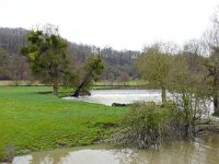 F, Vouziers, Aisne 2, Saxifraga-Tom Heijnen