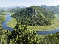 MNE, Cetinje, Rijeka Crnojevica (river) 1, Saxifraga-Tom Heijnen