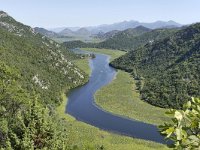 MNE, Cetinje, Rijeka Crnojevica (river) 2, Saxifraga-Tom Heijnen