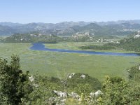 MNE, Cetinje, Skadarsko jezero near Karuc 2, Saxifraga-Tom Heijnen