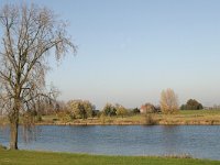 NL, Gelderland, Druten, Ravenstein 1, Saxifraga-Hans Boll