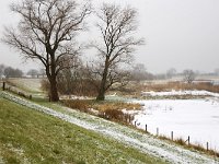 Winter landscape along river Meuse near Poederoijen, Gelderland,  Winter landscape along river Meuse near Poederoijen, Gelderland, Netherlands : Europe European, Gelderland, Holland, Netherlands, countryside, reed, river, riverscape, rural, stream, water, winter, rural landscape, ice, icy, Meuse, snow, snowy, wintertime, dike, trees