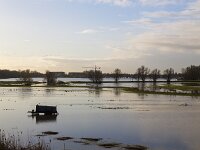 NL, Gelderland, Zaltbommel, Poederoijen, De Neswaarden 2, Saxifraga-Roel Meijer, : Meuse, river, Dutch, flood, inundation, wintertime, waterbirds, riverscape
