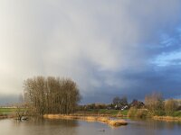 NL, Gelderland, Zaltbommel, Poederoijen, De Neswaarden 4, Saxifraga-Roel Meijer : Meuse, river, Dutch, flood, inundation, water, wintertime, dike