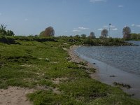 NL, Noord-Brabant, 's-Hertogenbosch, De Koornwaard 40, Saxifraga-Jan van der Straaten