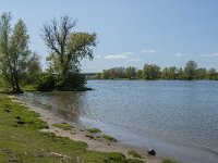 NL, Noord-Brabant, 's-Hertogenbosch, De Koornwaard 48, Saxifraga-Jan van der Straaten