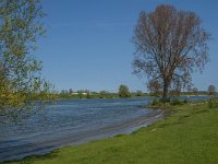 NL, Noord-Brabant, 's-Hertogenbosch, De Koornwaard 50, Saxifraga-Jan van der Straaten