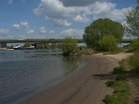 NL, Noord-Brabant, 's-Hertogenbosch, Empelse Waard 1, Saxifraga-Marijke Verhagen