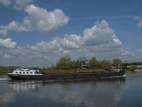 NL, Noord-Brabant, 's-Hertogenbosch, Empelse Waard 12, Saxifraga-Marijke Verhagen