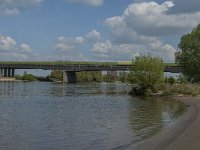 NL, Noord-Brabant, 's-Hertogenbosch, Empelse Waard 8, Saxifraga-Marijke Verhagen