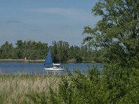 NL, Noord-Brabant, Altena, Amer 6, Saxifraga-Jan van der Straaten