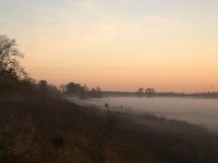 Polder in Dutch Biesbosch National Park covered by fog during sunrise  Polder in Dutch Biesbosch National Park covered by fog during sunrise : Biesbosch National Park, Biesbosch, national park, np, dutch, holland, Netherlands, Europe, European, polder, grass, grassland, rural, rural landscape, non-urban scene, rural scene, outside, outdoors, nobody, no people, sky, pasture, agriculture, agricultural, meadow, winter, wintertime, tree, trees, blue sky, north brabant, sunrise, dawn, early morning, sun, cold colors, silhouette, silhoutted