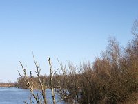 NL, Noord-Brabant, Altena, Gat van Lijnoorden 2, Saxifraga-Roel Meijer