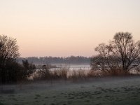 Foggy sunrise in Dutch Biesbosch National Park  Foggy sunrise in Dutch Biesbosch National Park : Biesbosch National Park, Biesbosch, national park, np, dutch, holland, Netherlands, Europe, European, polder, rural, rural landscape, non-urban scene, rural scene, outside, outdoors, nobody, no people, sky, winter, wintertime, tree, trees, blue sky, north brabant, sunrise, dawn, early morning, sun, cold colors, silhouette, silhoutted, water, river, grass, grassland, creek, cove, pasture