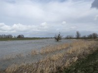 NL, Noord-Brabant, Altena, Kievitswaard 3, Saxifraga-Willem van Kruijsbergen