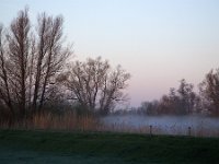 Foggy sunrise in Dutch Biesbosch National Park  Foggy sunrise in Dutch Biesbosch National Park : Biesbosch National Park, Biesbosch, national park, np, dutch, holland, Netherlands, Europe, European, rural, rural landscape, non-urban scene, rural scene, outside, outdoors, nobody, no people, sky, winter, wintertime, tree, trees, blue sky, north brabant, sunrise, dawn, early morning, sun, cold colors, silhouette, silhoutted, reed, reedbed, wetland, dike