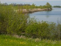 NL, Noord-Brabant, Woudrichem, Afgedamde Maas 3, Saxifraga-Jan van der Straaten