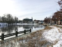 NL, Noord-Holland, Amsterdam, Weesp, De Vecht 5, Saxifraga-Bart Vastenhouw